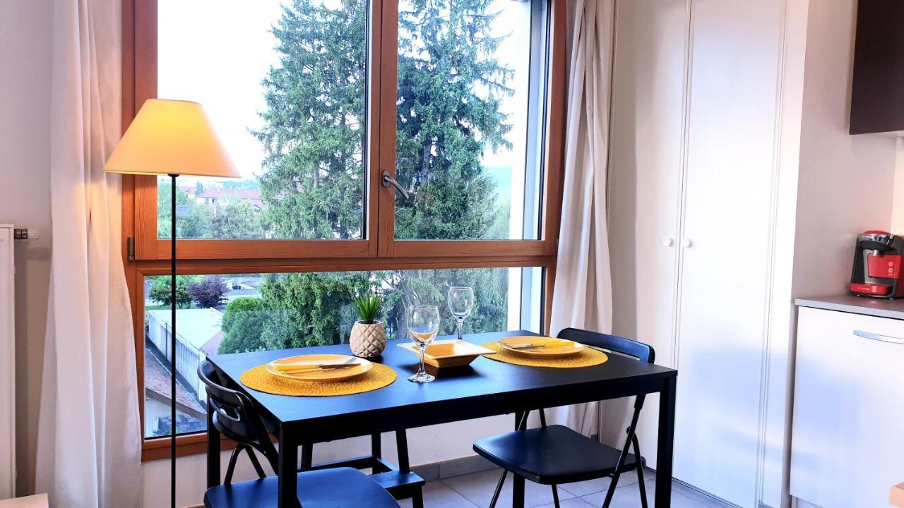 Le Bellevue A 10Min Du Centre A Pied Apartment Annecy Exterior photo